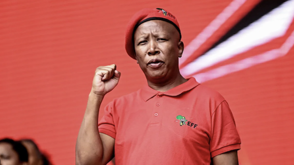 Musk Exposes South African Political Leader Pushing for Genocide Against White Farmers