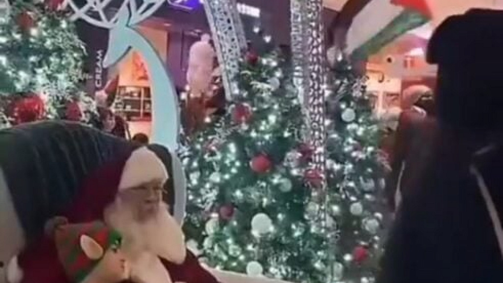 Pro Hamas Protesters Terrorize Children Waiting to Meet Santa at Toronto Mall Chant Jesus Was Palestinian Video