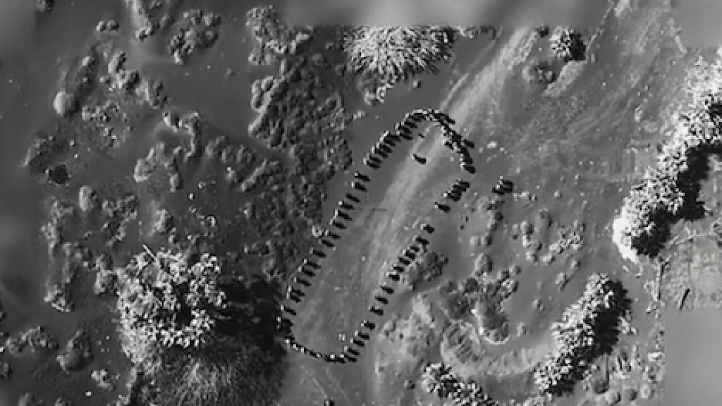 Trump Posts Video Houthis Gather for Instructions Seconds Later Theres Just a Crater Where They Stood