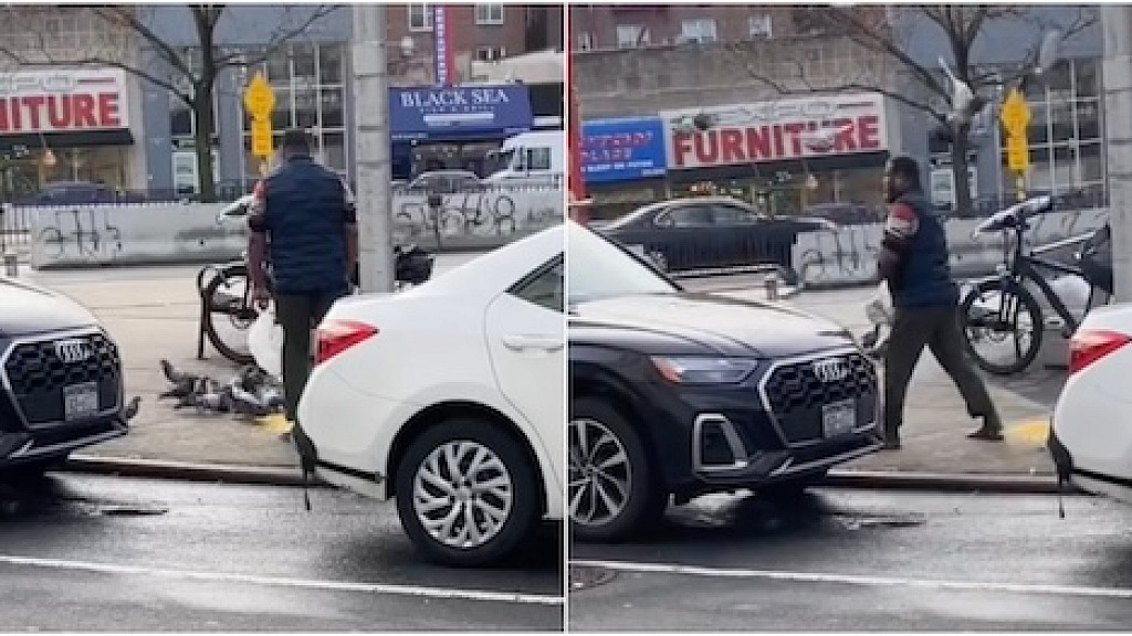 SHOCKING VIDEO NYC Halal Food Cart Worker Catches Pigeon with His Bare Hands Bags It and Returns to His Cart with It