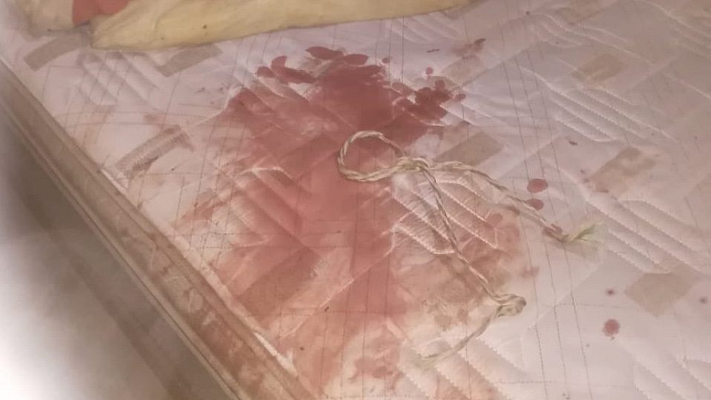 South African President Ramaphosa Blames Whites for Farm Murders Neighborhood Watch Apprehends 4 Attackers